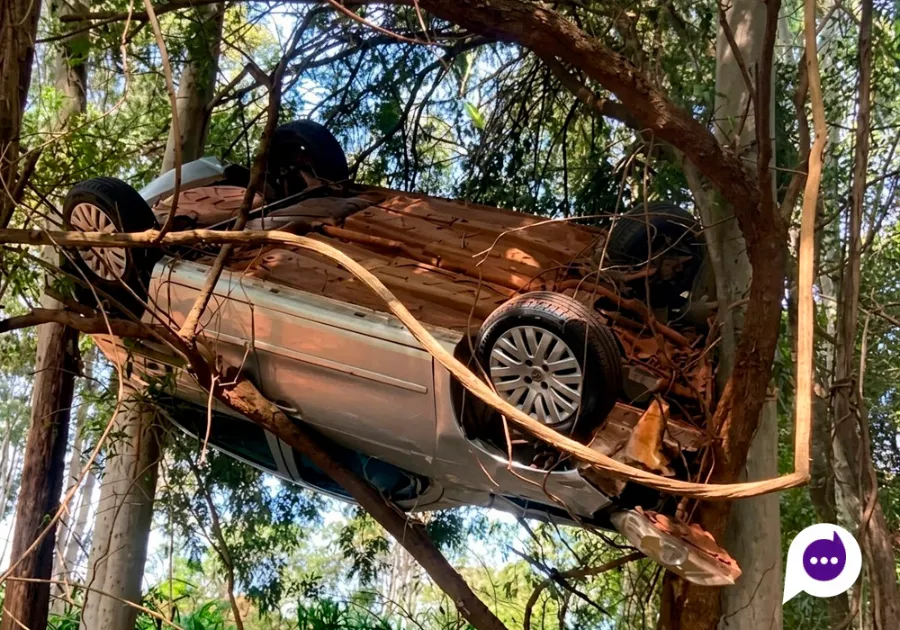 Automóvel fica preso em árvore após acidente na PR-542 no Paraná