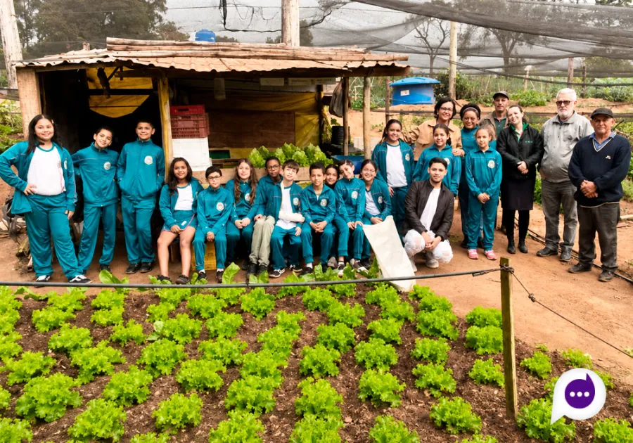 Alunos da Escola Santa Mônica participam de projeto ambiental em horta de Nova Londrina