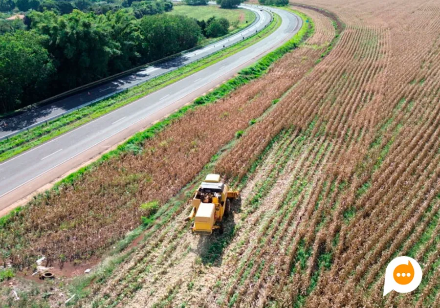 EPR Paraná prorroga inscrições para o projeto Cultivando Caminhos