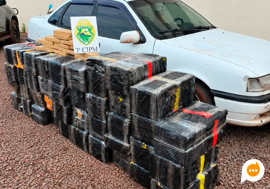 Polícia Militar apreende mais de 900 quilos de maconha em área rural de Marilena