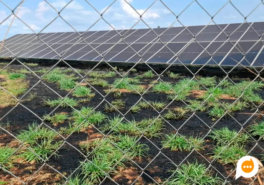 Bombeiros atuam no combate às chamas para evitar danos à estrutura de painéis solares em Marilena.