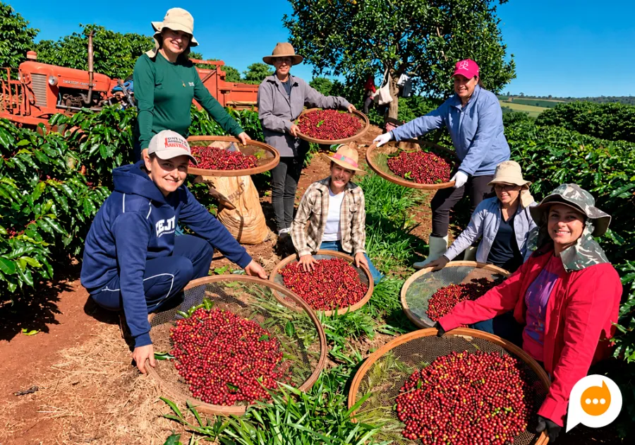 Encontro reuniu cerca de 260 agricultoras em Mirador para debater direitos trabalhistas, previdência e geração de renda no campo.